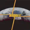 Bungle - Down to Earth